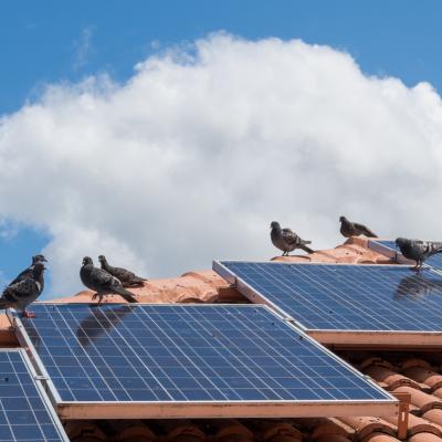 Solar Panel Bird Proofing Mesh